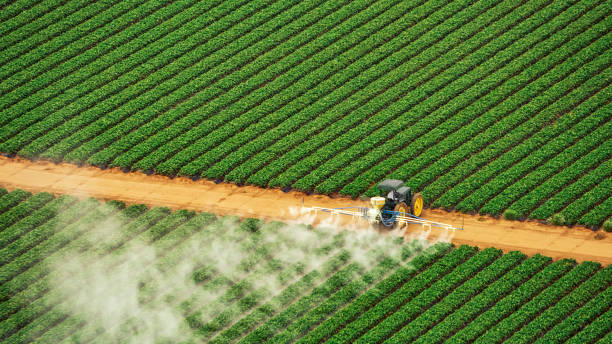 Best Mosquito Control Services  in Picacho Hills, NM