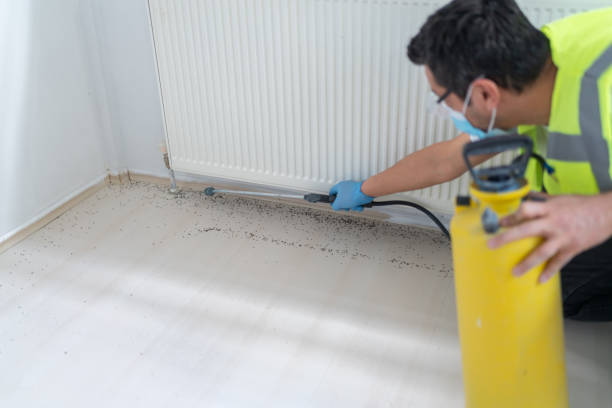 Best Local Pest Control Services  in Picacho Hills, NM